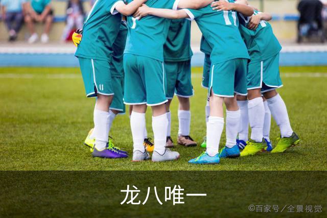 龙八唯一公司简介